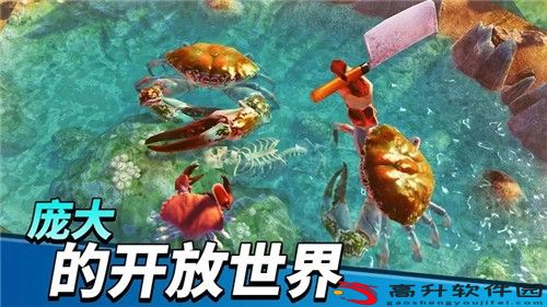 螃蟹之王_图3